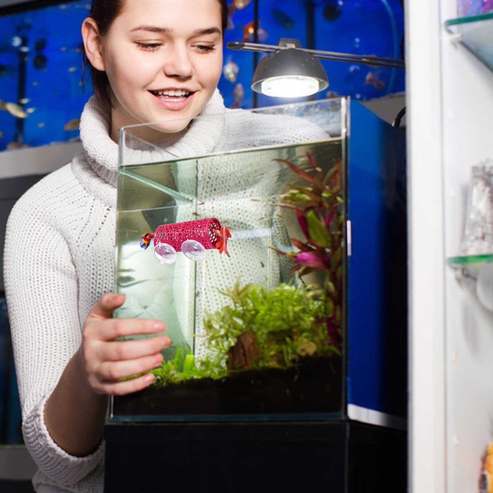 Betta Fish Tank - Betta Habitat Dinlenme Barınağı Süs Balık
