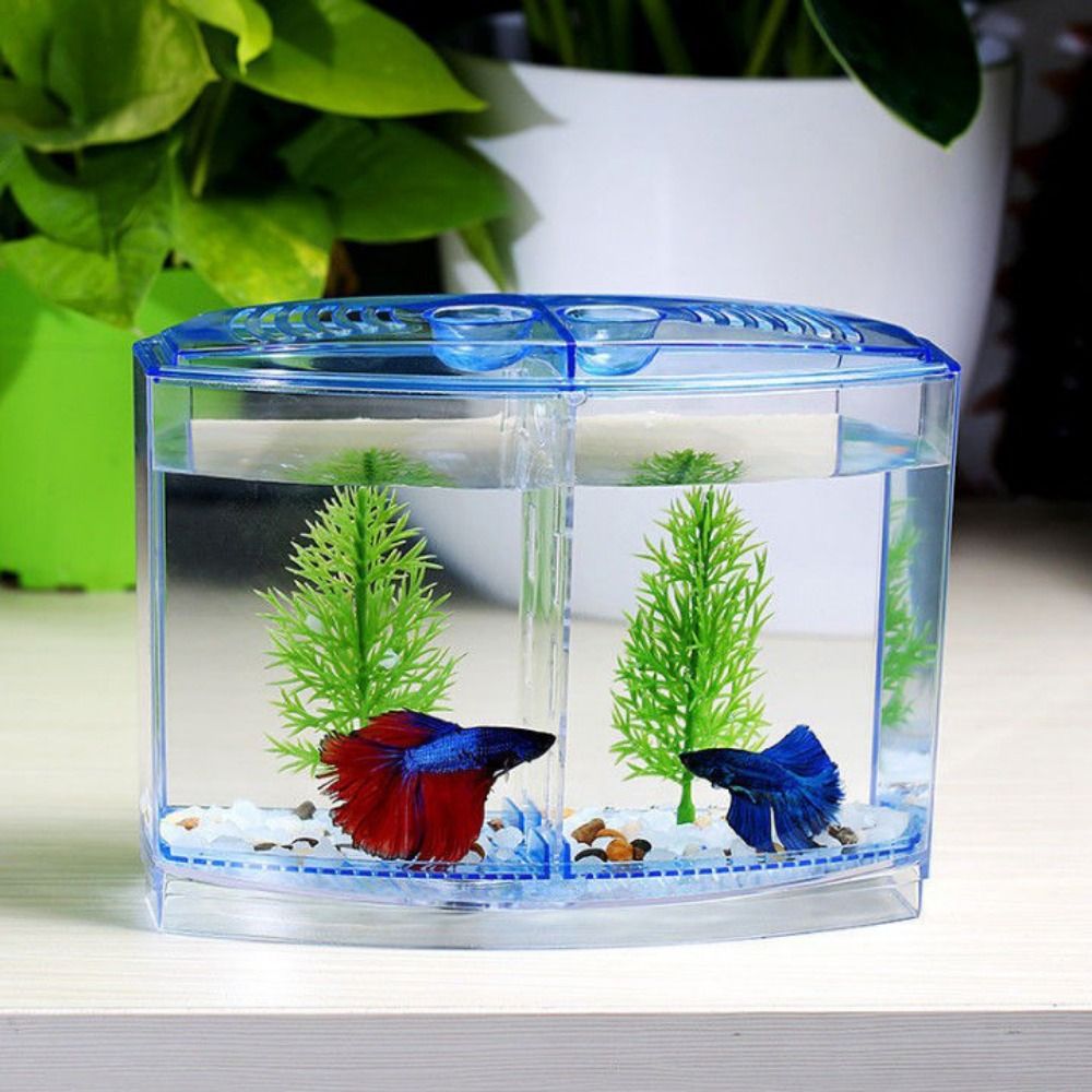 Betta Fish Tank - Şeffaf Betta balık tankı, çift ızgara