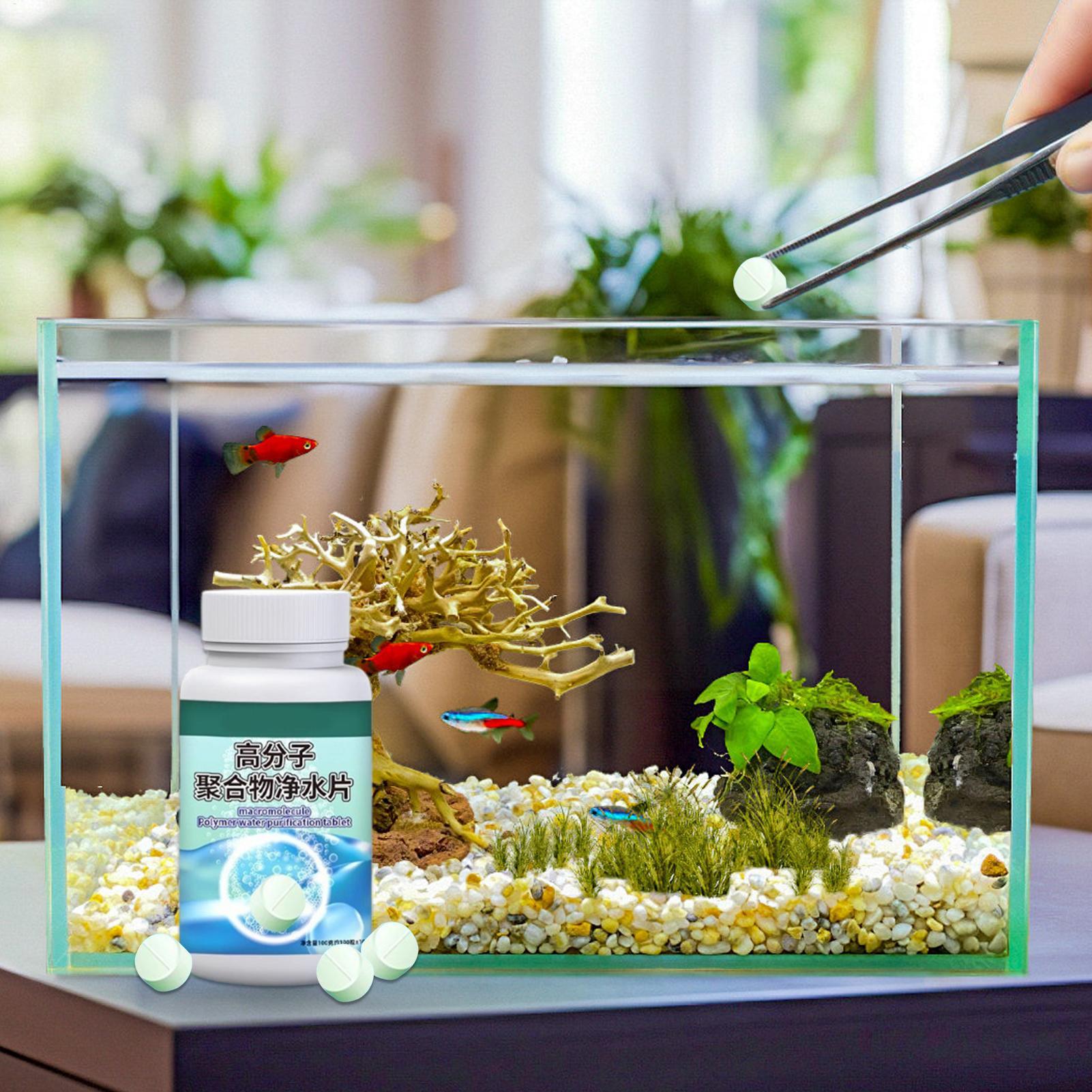 Balık Tankı Yosun Giderici Akv - Betta Fish Tank incelemesi ve fiyatı