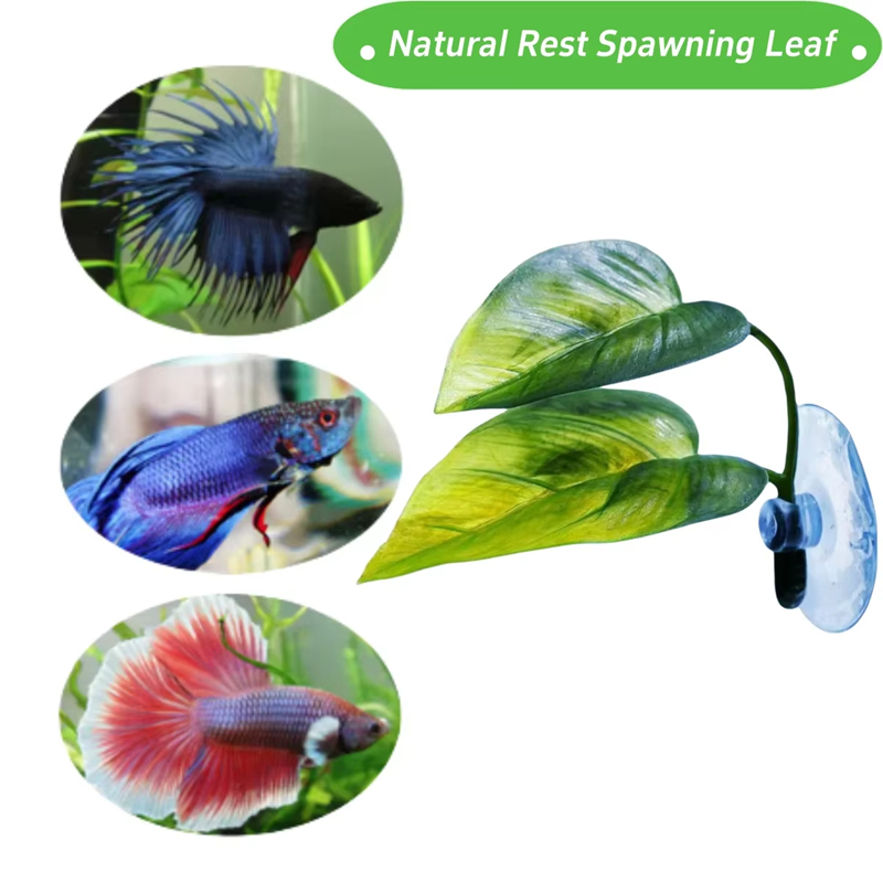 Akvaryum Evcil Hayvan Malzemel - Betta Fish Tank incelemesi ve fiyatı