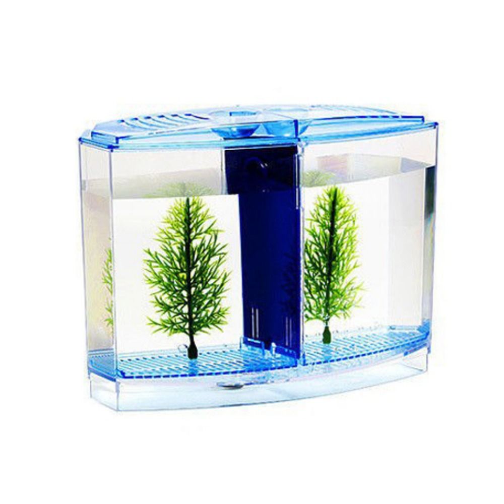 Şeffaf Betta balık tankı, çift - Betta Fish Tank incelemesi ve fiyatı