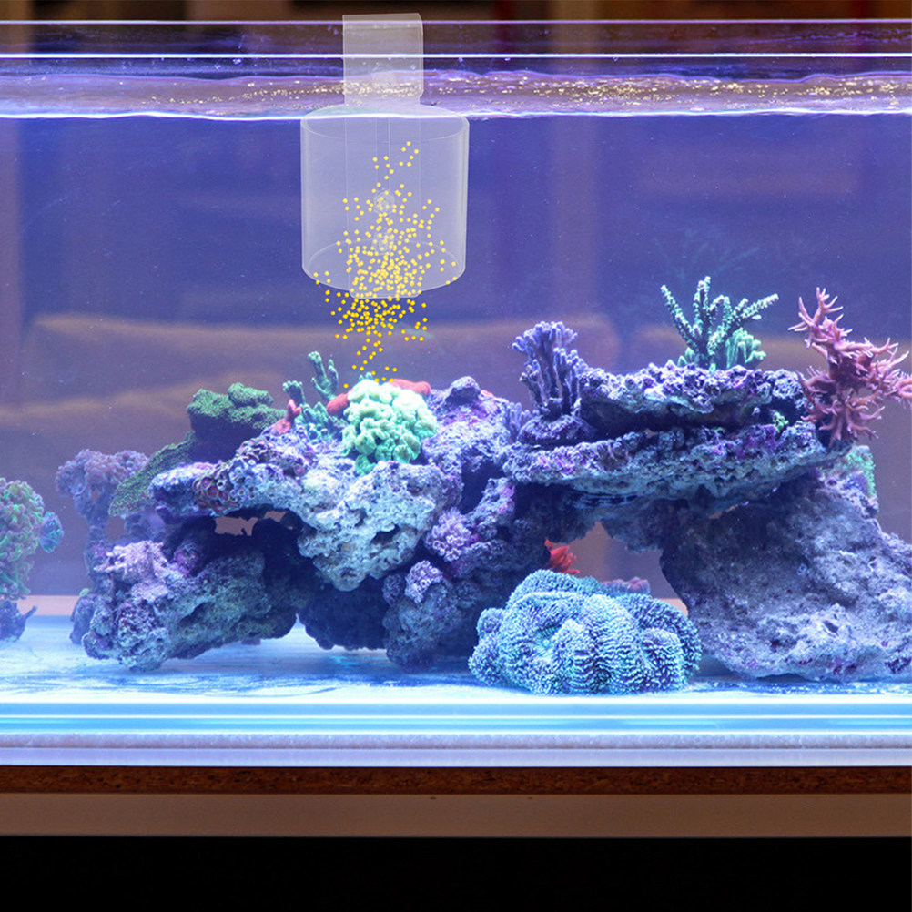 Betta, Karides ve Kaplumbağa A - Aquarium Fish Keeping incelemesi ve fiyatı