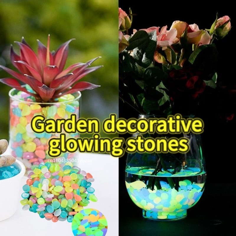 100-1000 adet aydınlık taş bah - Fish Aquarium Home incelemesi ve fiyatı
